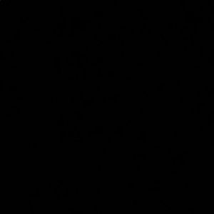 Meet your Posher, Malika